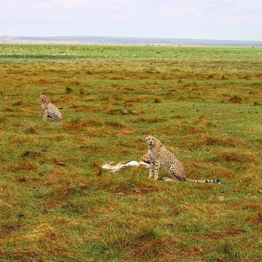 Amboseli Cultural Camping Exterior photo